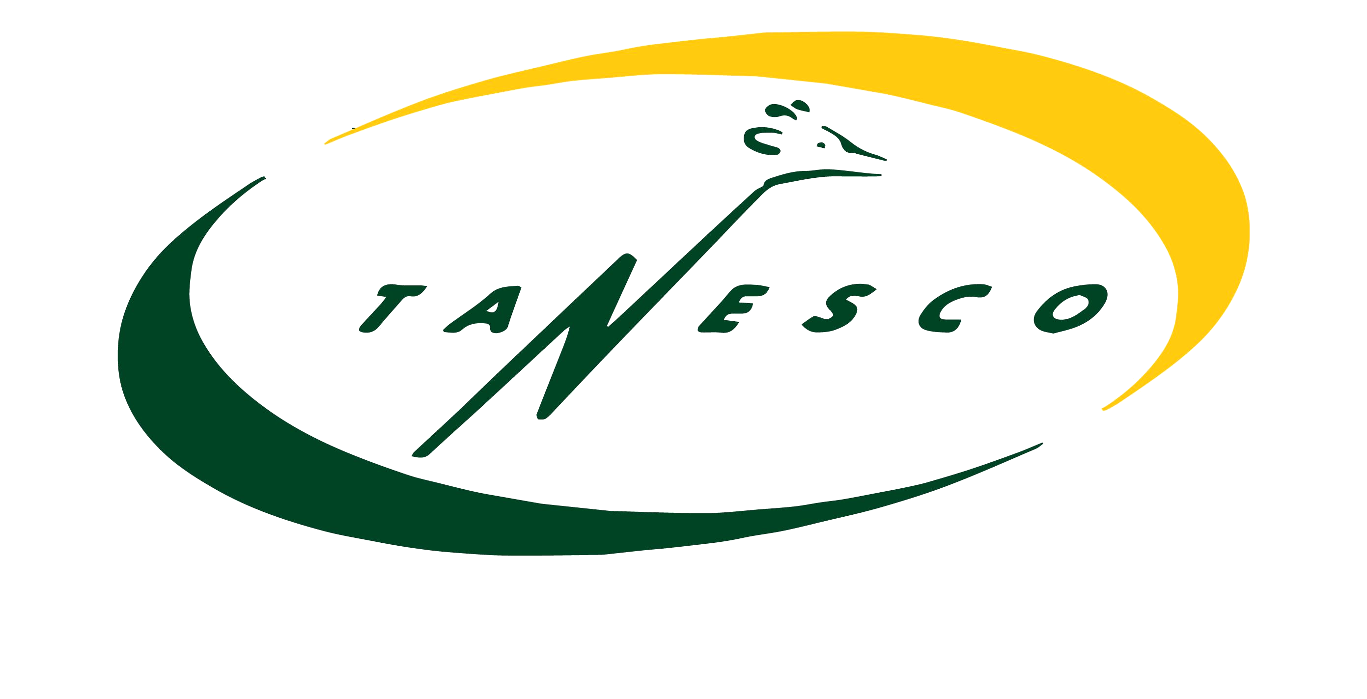 TANESCO