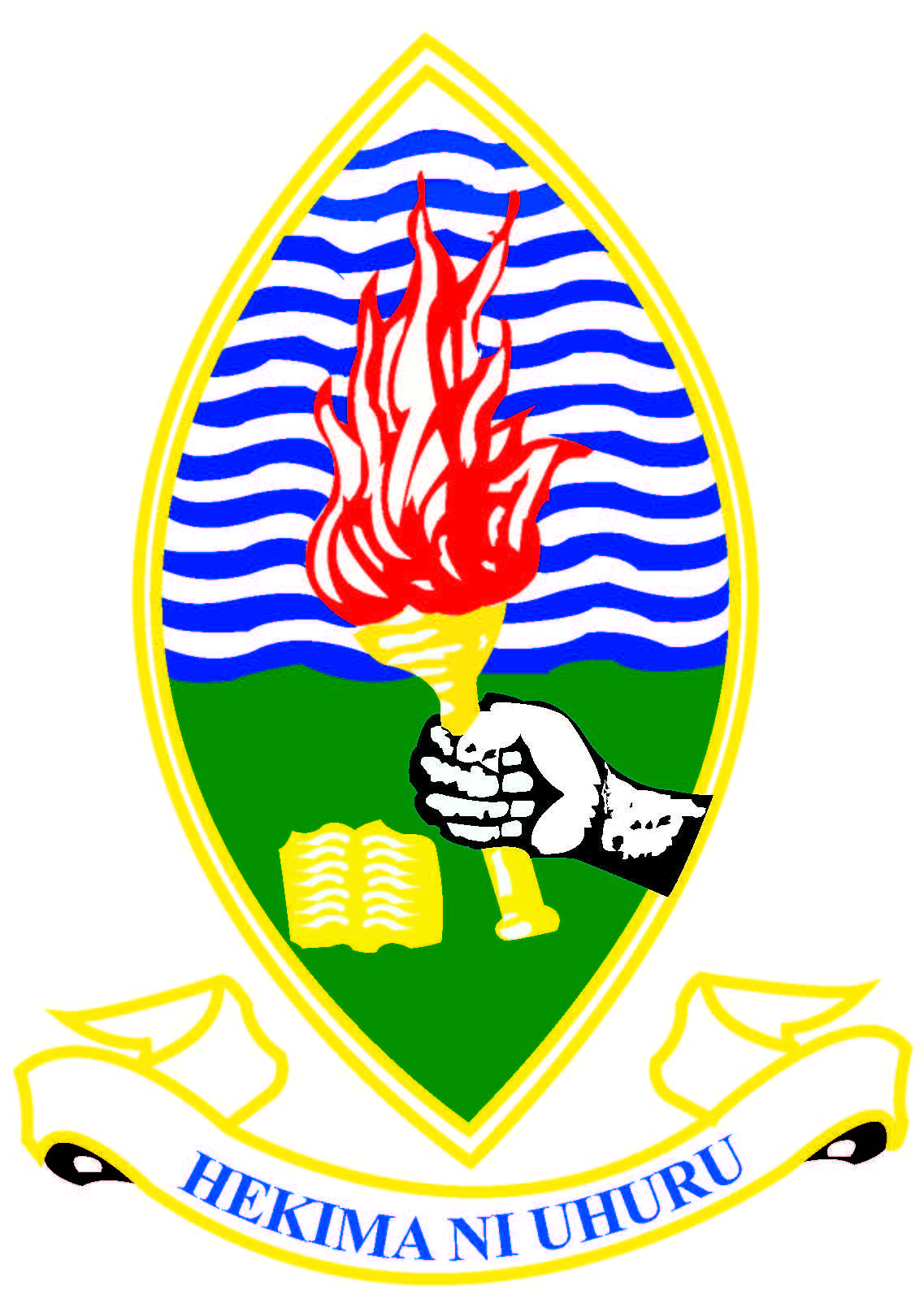 UDSM